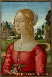 Portrait of a Lady