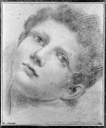 Head of a Youth, Bending Backwards