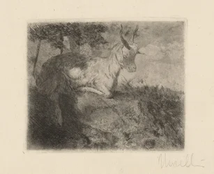 The Little Goat (La capretta)