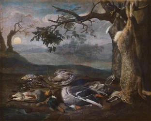 Still Life
