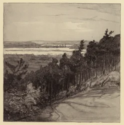 Poole Harbour from Parkstone