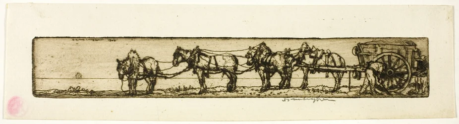 Draught Horses