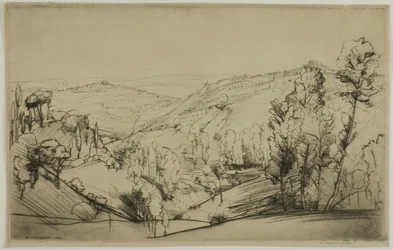 Fields of San Gimignano