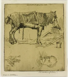 Plate of Sketches