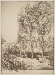 Sunlight and Shadows, No. 3