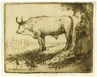 The White Ox