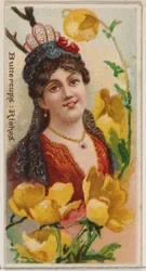 Buttercups: Riches, from the series Floral Beauties and Language of Flowers, 1892