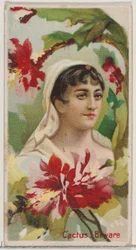 Cactus: Beware, from the series Floral Beauties and Language of Flowers N75 for Duke brand