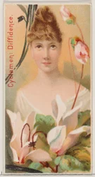 Cyclamen: Diffidence, from the series Floral Beauties and Language of Flowers N75 for Duke, 1892