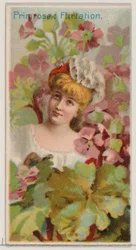 Primrose: Flirtation, from the series Floral Beauties and Language of Flowers N75 for Du...