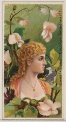 Sweet-Peas: Goodbye Sweetheart!, from the series Floral Beauties and Language of Flowers
