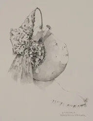First Prize at the fruit and vegetable exhibition