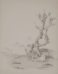 The Trunk