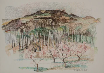 The vineyard of Vergne