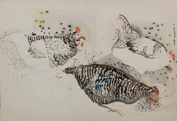 Three chicken