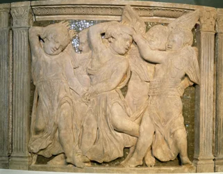 Unknown Image