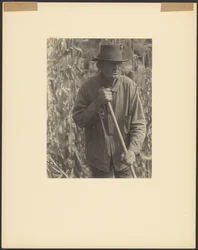Man with Hoe in Sorghum Patch