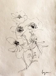 Delicate Floral Sketch