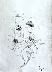 Delicate Floral Sketch