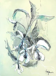 Delicate Orchid Sketch