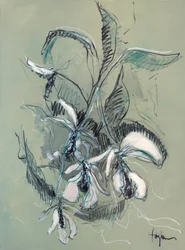 Elegant Orchid Sketch
