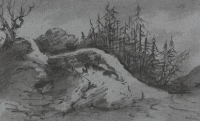 Composition of Rocks and Pine Trees