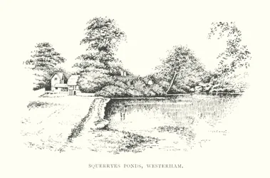 Squerryes Ponds, Westerham