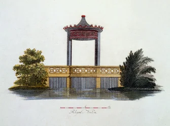 Illustration from Magazine of Garden Gems by G. van Laar, published 1802
