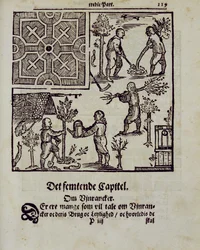 Planting trees, from The Dutch Gardener by Johann van der Groen, published 1699