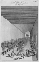 The forcing-house, from De Nederlandze Hesperides by Jan Commelin, published 1676