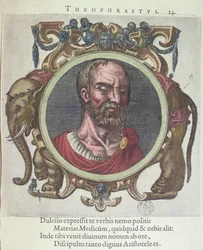 Theophrastus, illustration from Veterum et Recentium Medicorum Philosophorumque Icones by Johannes Sambucus, published by Plantin in Leyden 1603