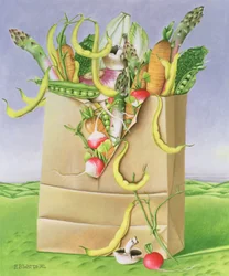 Paper Bag with Vegetables, 1992