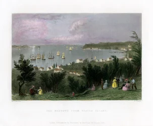 The Narrows as Seen from Staten Island, New York, USA