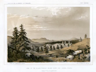 The Black Forest, Mount Hope and Sierra Prieta, USA, 1856