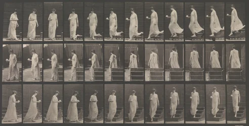 Animal Locomotion. An Electro-Photographic Investigation of Animal Movements