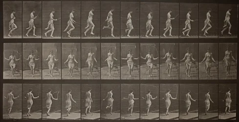 Animal Locomotion, Plate 174, 1887