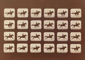 Horses. Running. Phyrne L. No. 40, 1879