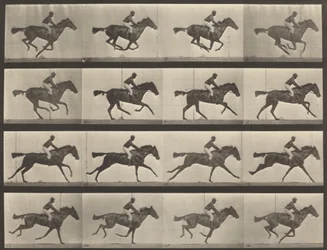 Plate Number 626. Gallop, thoroughbred bay mare, Annie G., 1887