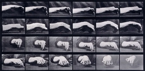 A Motion Study of a Hand