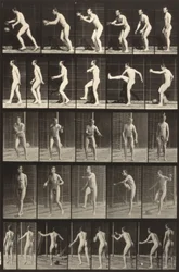 Animal Locomotion (plate 300) (Man Kicking a Ball)