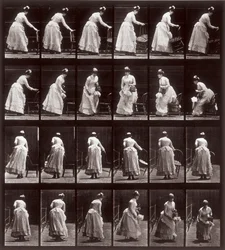 Animal Locomotion, Plate 265: Sequence with a Woman Sitting Down