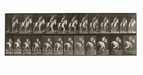 Galloping Horse with Rider, Plate 635 from Animal Locomotion