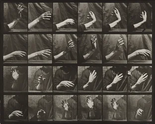 Movement of the Hand; Beating Time