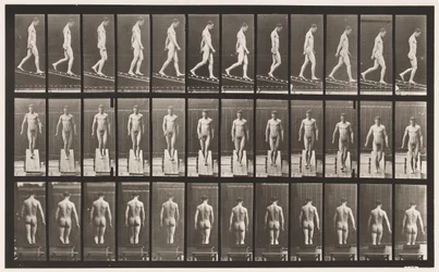 Plate 114. Descending Incline, Angle 1 in 4