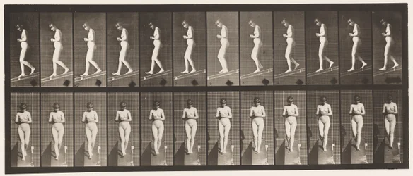 Plate 115. Descending Incline with Hands Clasped in Front