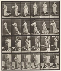 Descending Stairs and Flirting Fan (Plate 141)