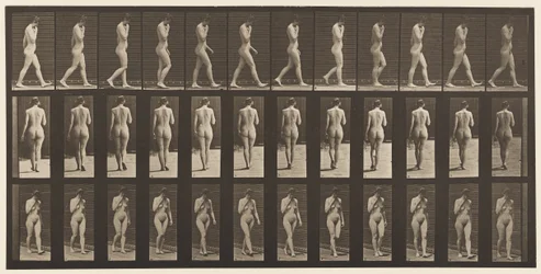 Plate 14. Walking, Right Hand at Chin