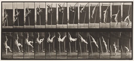 Plate 165. Jumping; Pole Vaulting