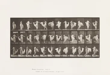 Plate 192. Dancing (fancy)