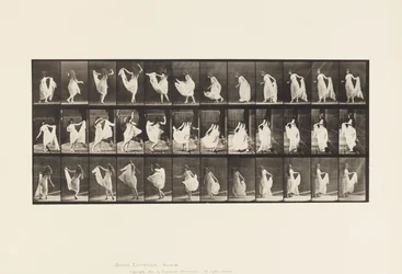 Plate 193. Dancing (Fancy)